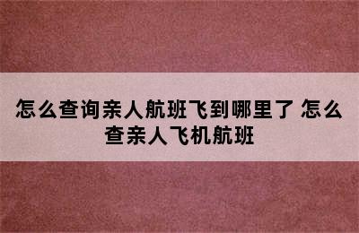 怎么查询亲人航班飞到哪里了 怎么查亲人飞机航班